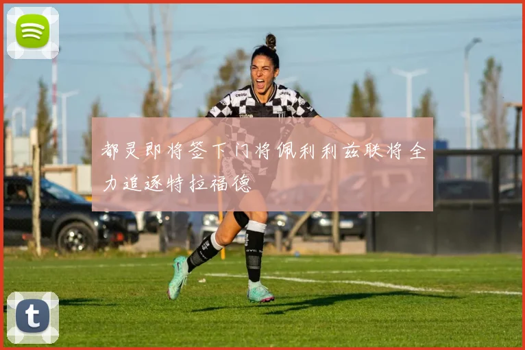 都灵即将签下门将佩利利兹联将全力追逐特拉福德