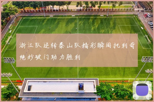 浙江队逆转泰山队精彩瞬间托利奇绝妙破门助力胜利